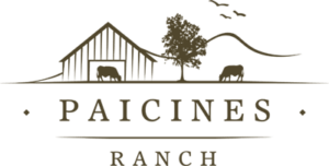 Paicines Ranch